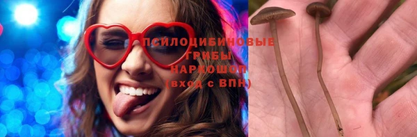 каннабис Корсаков