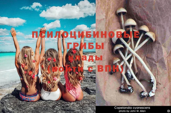 МДПВ Александровское