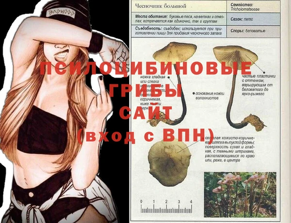 каннабис Корсаков